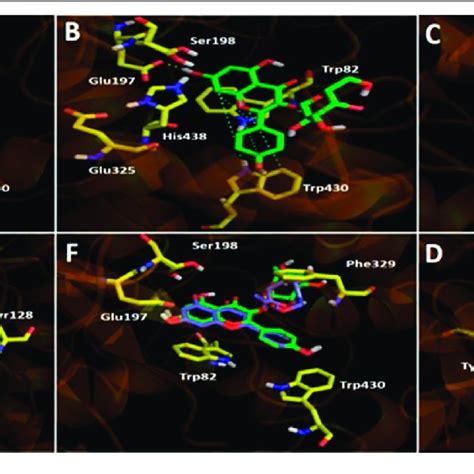 Predicted Binding Mode And Predicted Intermolecular Interactions