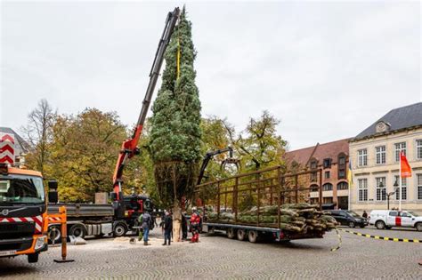 15 Meter Hoge Kerstboom Siert De Burg In Brugge KW Be