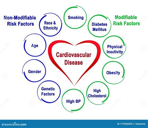 Factores De Riesgo De Enfermedad Cardiovascular Stock De Ilustración Ilustración De Enfermedad