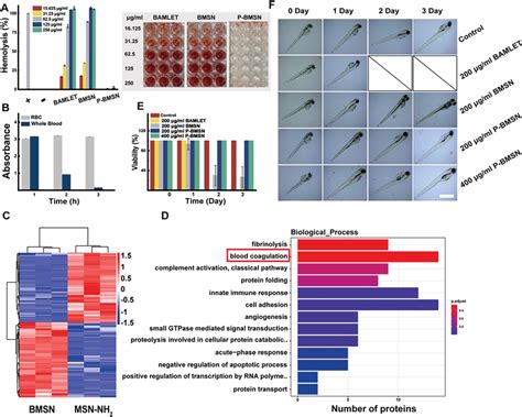 Biocompatibility Study Of Nanocarriers In Vitro Or In Vivo A