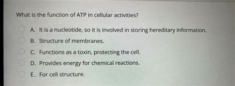 Solved What is the function of ATP in cellular activities? | Chegg.com