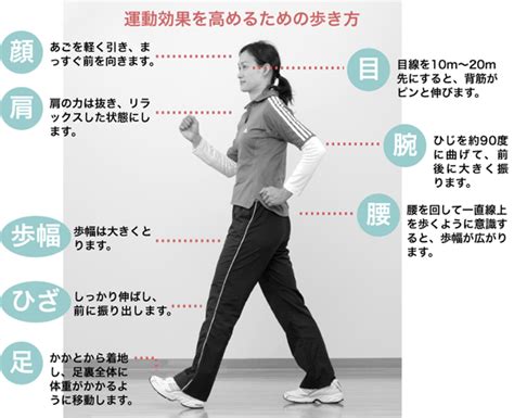 健康ネット 健康・体力アップ運動してみようウォーキングウォーキングの方法