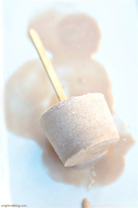 Chocolate Frosty Popsicles - A Night Owl Blog