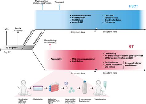 Gene Therapy For Inborn Errors Of Immunity The Journal Of Allergy And