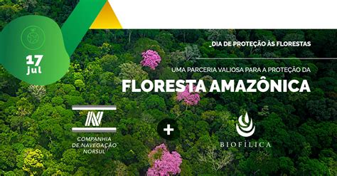 Norsul E Biof Lica Uma Parceria Valiosa Para A Prote O Da Floresta