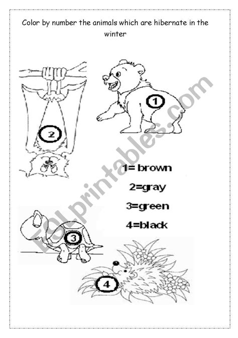 Animal Hibernation Worksheets