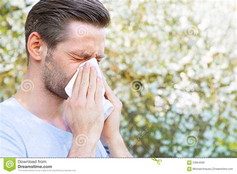 Allergy, Spring, man stock image. Image of pollen, tree - 53954599