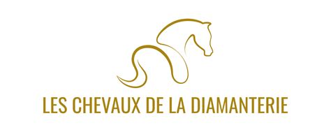 Les Besoins Fondamentaux Du Cheval Les Chevaux De La Diamanterie