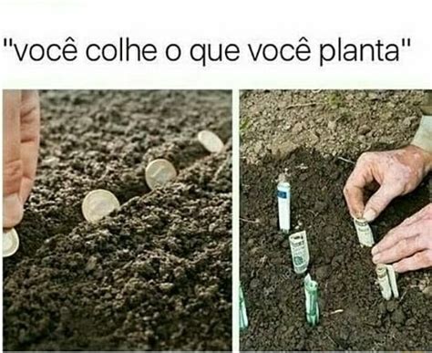 Voc Colhe O Que Voc Planta Ifunny Brazil