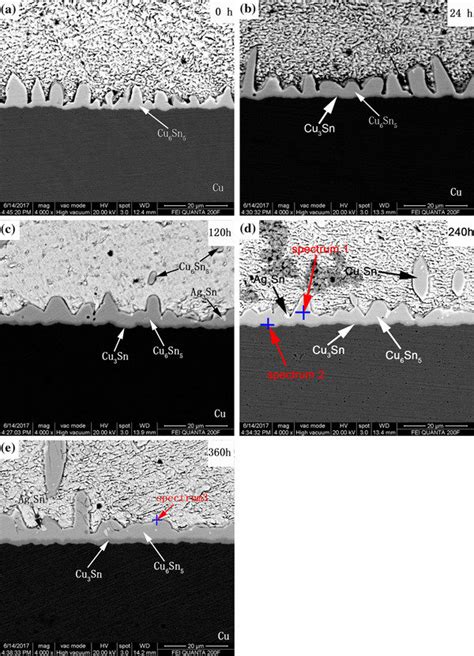 Sem Images Showing The Interfacial Microstructures Of The Sac Cu