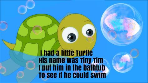 I Had A Little Turtle Nursery Rhyme Lyrics Nursery Rhymes Lyrics