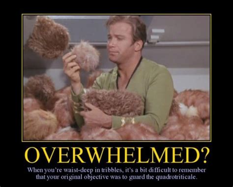 Star Trek: 10 Kirk Logic Memes That Are True And Hilarious