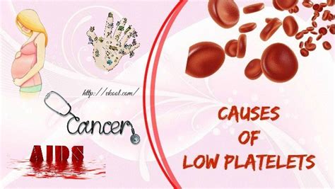 Platelet Facts Low Platelets Platelets Low Platelet Count - Riset