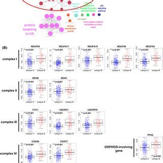 The OSCC Recurrencerelated Gene Signature ORGS Is Associated With