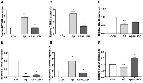 Transcription Levels Of Sphingolipid Metabolizing Enzymes In BV2