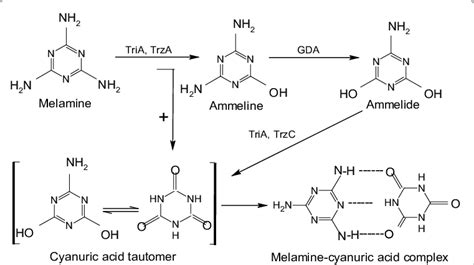 Melamine Combined With Its Derivative Product Cyanuric Acid To Form