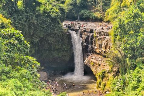 8 Jaw Dropping Ubud Waterfalls You Cant Miss • Hoponworld