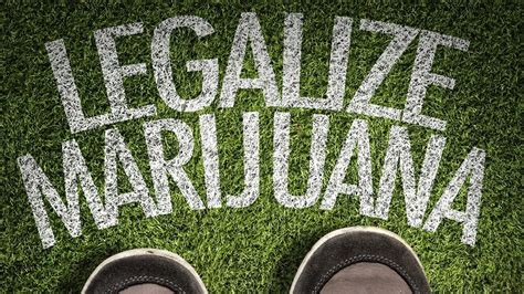 Legalizacja marihuany w Polsce prace trwają Marihuana info pl