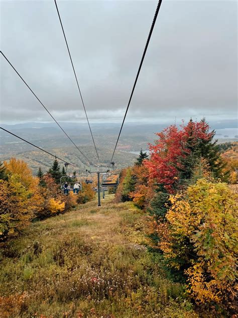 Mount Sunapee, NH | Plants, Garden, Sunapee