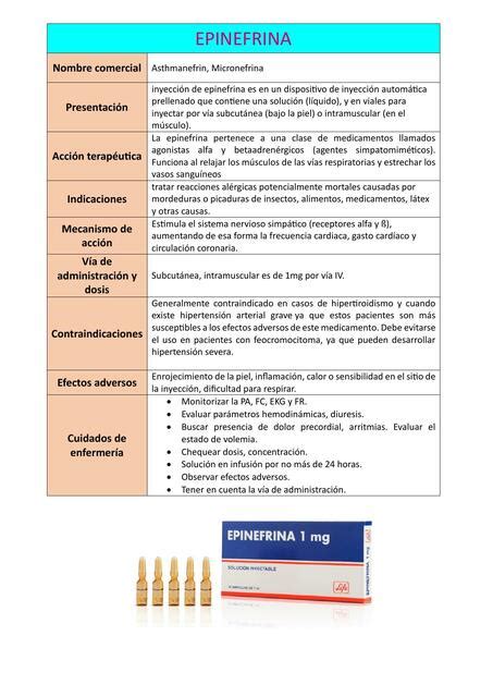 Ficha Farmacología Epinefrina Erica AF uDocz