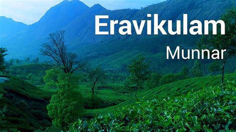 Eravikulam National Park And Ecotourism Programmes Youtube