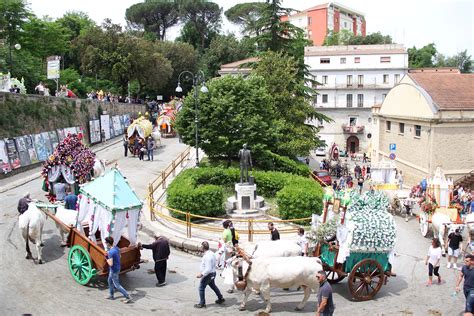 San Pardo A Larino Turismo In Molise