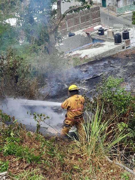 Atiende Gobierno De Acapulco Diversos Incendios De Pastizales árboles