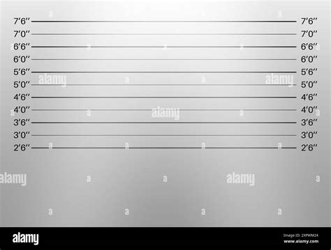 Mugshot Police Lineup Wall With A Metric Units Scale Stock Vector