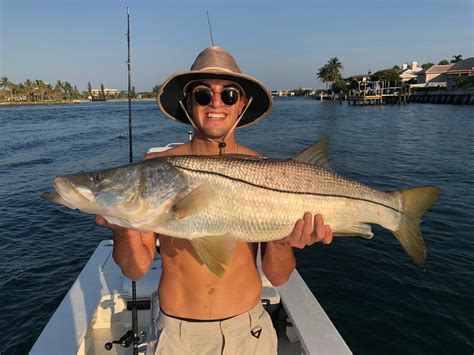 2018 Biggest Snook Of Your Life Miami To Jupiter Inlet Snook Fishing