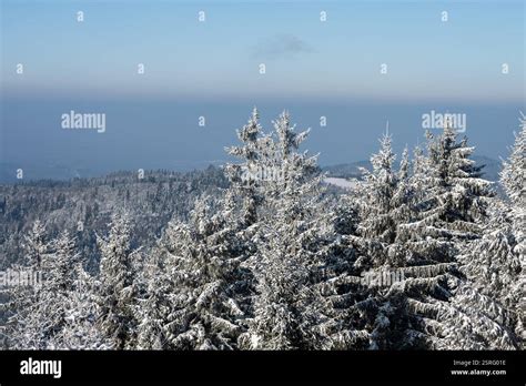 Freudenstadt Germany 15th Feb 2025 The Landscape In The Black