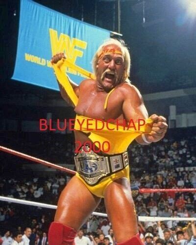 HULK HOGAN WRESTLER 8 X 10 WRESTLING PHOTO WWF WCW | #4670358771