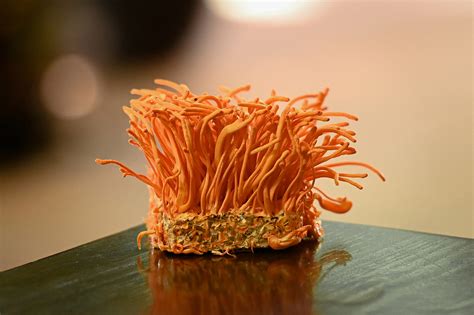 Giới thiệu – Namgano
