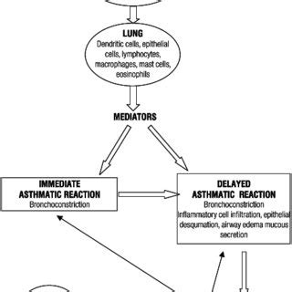 Structural Formulas For Suxamethonium Pancuronium And Ethamethonium