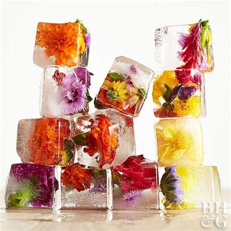 17 Stunning Edible Flower Recipes That Are Almost Too Pretty To Eat