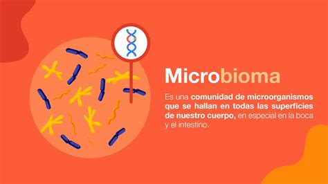 Grupo Bimbo On Twitter Conoce La Diferencia Entre Microbioma Y