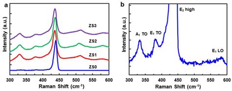 A Room Temperature Raman Scattering Spectra Of The Pristine Zno Nws