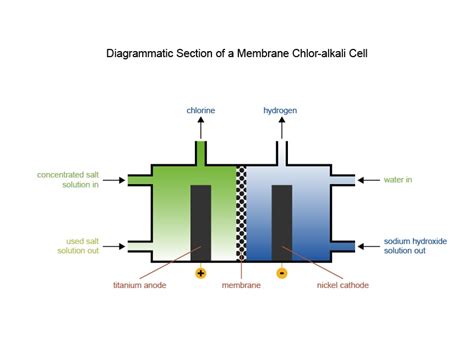 Chlor Alkali Process Diagram Chlor Alkali Process Diagram Cl