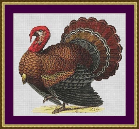 Turkey Counted Cross Stitch Pattern Etsy