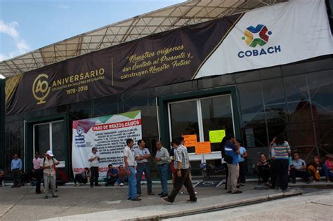 Cobach Inscripcion En Linea Mide