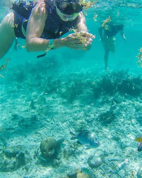 12 Things To Know Before Going Snorkeling In Isla Mujeres Mexico