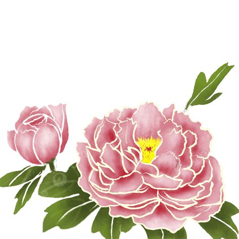 Hand Painted Peony Art Dried Flowers Png Free Material Hand Draw Peony Dried Flowers Png