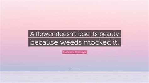 Matshona Dhliwayo Quote A Flower Doesnt Lose Its Beauty Because