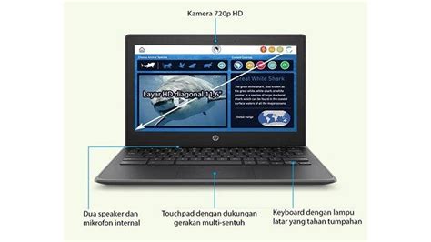 Hp Chromebook 11 G8 Laptop Murah Tahan Banting Cocok Untuk Pelajar