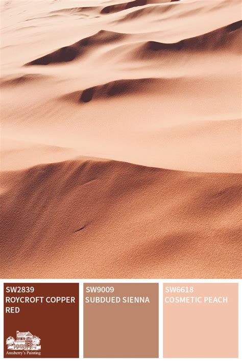 Desert Tour Color Palette Collection Color Schemes Colour Palettes