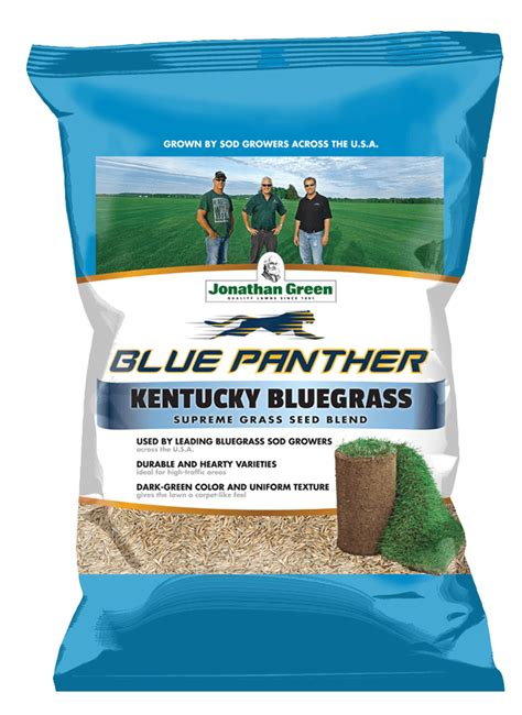 Blue Panther® Kentucky Bluegrass Grass Seed Jonathan Green