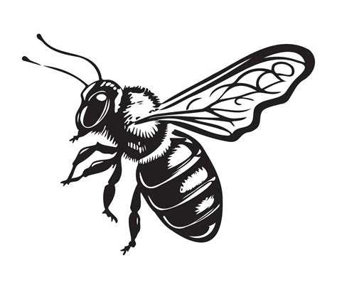 Honey Bee icon, honey bee silhouette 22667120 Vector Art at Vecteezy