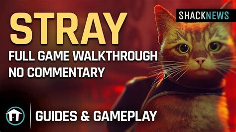 Stray Full Game Walkthrough Pc No Commentary Youtube