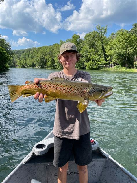 South Holston River Trout Fishing The Ultimate Guide