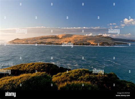 Hokianga Harbour with dangerous currents, wandering sand dunes on the ...