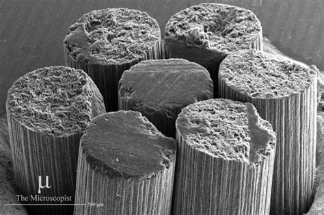 The Microscopist on Tumblr: Scanning electron microscope images of graphite layers which can be ...